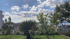 Un jardín ajardinado con una palmera, árboles pequeños y una zona con césped.