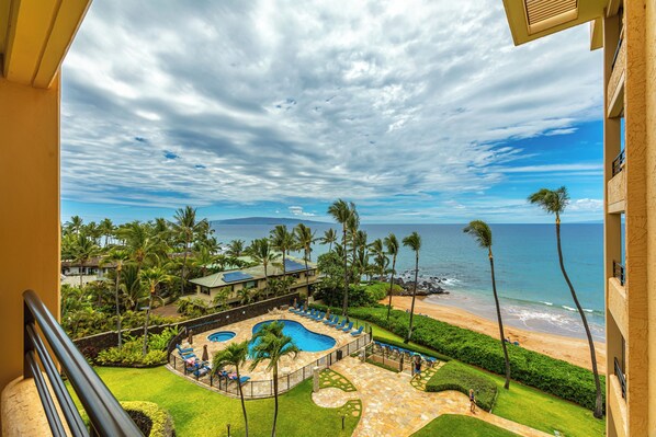 Un complexe hôtelier doté d’une piscine, de palmiers et offrant une vue sur la plage.