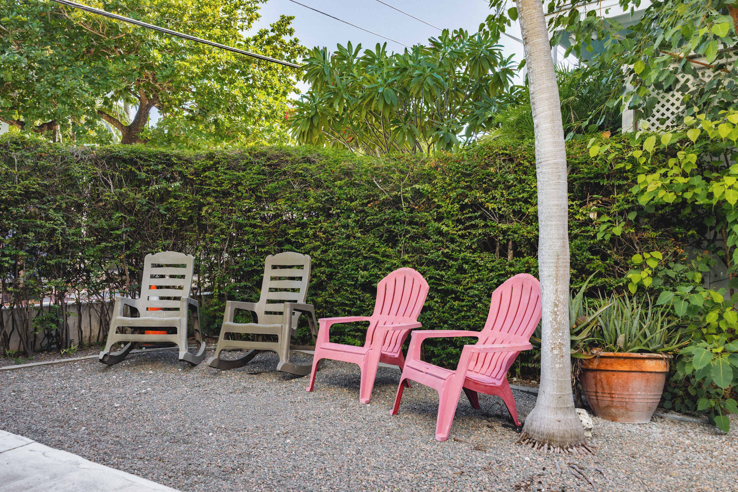 A gravel patio with four Adirondack chairs, a palm tree, and a potted plant.