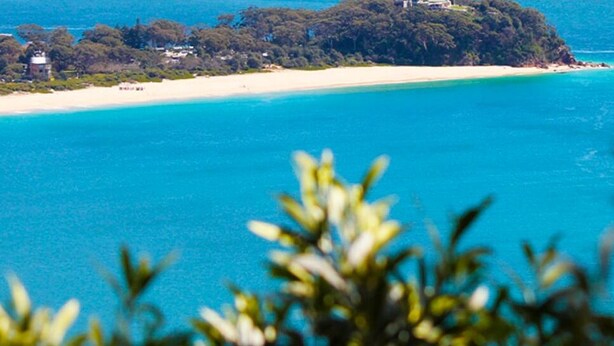Blick auf die Küste mit einem Sandstrand und einer kleinen Insel voller dichter Vegetation.