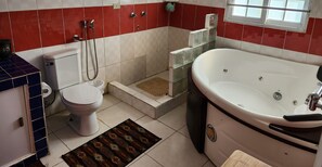 Un bagno con un WC, doccia e vasca da bagno.