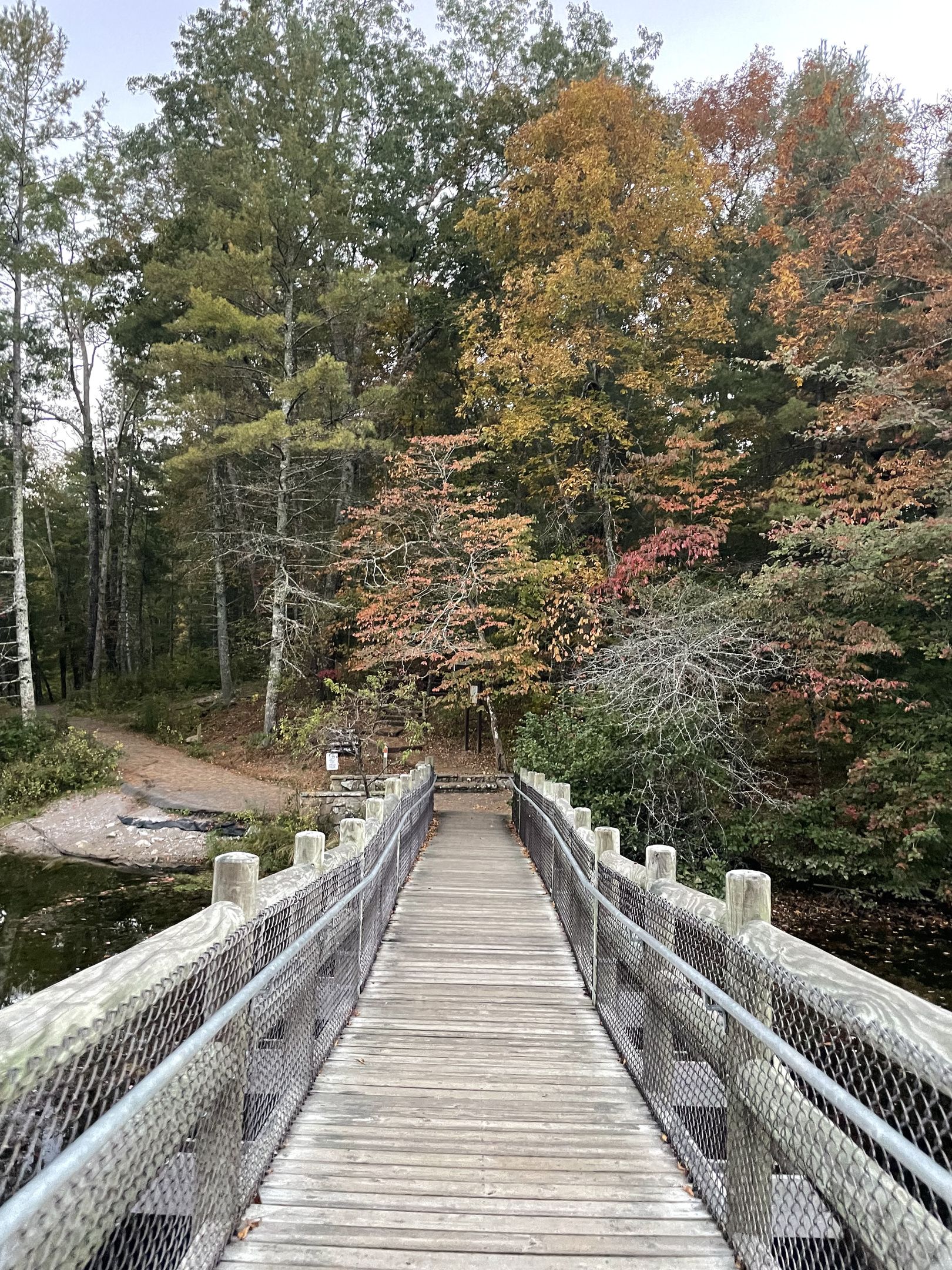 Un pont en bois doté d’une rambarde métallique, entouré d’arbres aux feuilles d’automne.