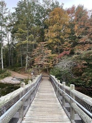 Eine Holzbrücke mit Metallgeländer, umgeben von Bäumen mit Herbstlaub.