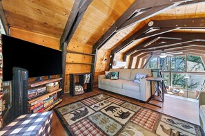 TV, fireplace, video games, DVD player