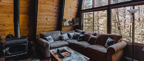 TV, fireplace, video games, DVD player