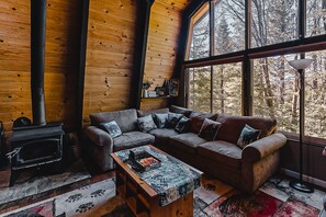 TV, fireplace, video games, DVD player