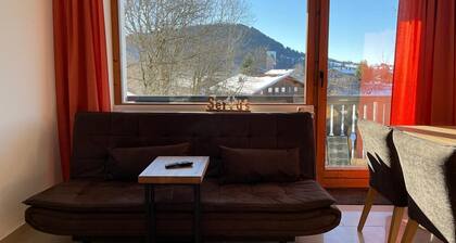 Renovated 2-room apartment