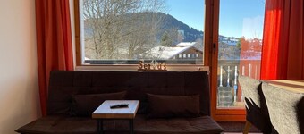 Renovated 2-room apartment