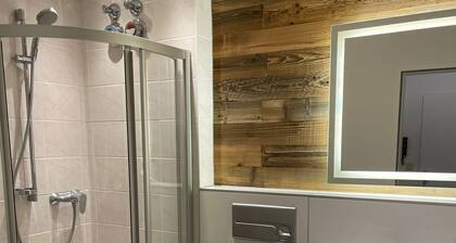 Renovated 2-room apartment