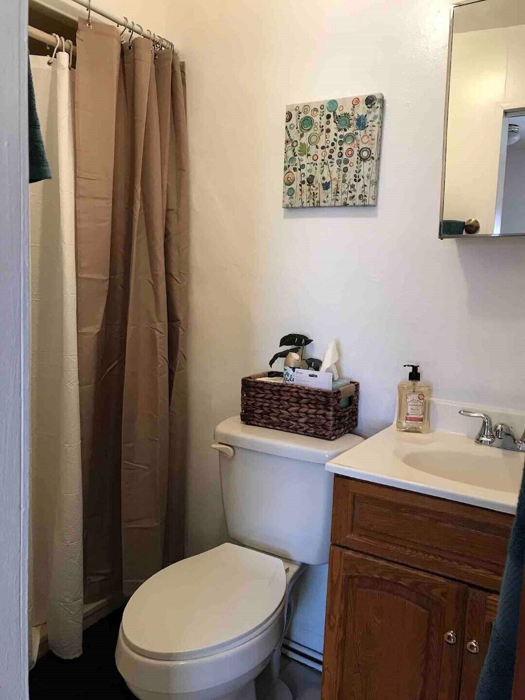 A bathroom with a toilet, a sink, a mirror, a shower curtain, and a decorative wall piece.