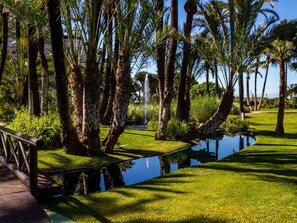 A serene garden with palm trees, a small pond, and a wooden bridge.