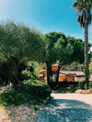 Property grounds - Villa with private pool for 12 in Golfe de Saint Tropez (Cogolin)