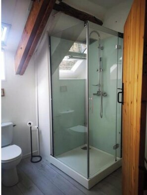Shower, hair dryer, towels, toilet paper