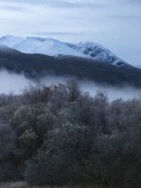 Un paisaje montañoso con picos nevados y un valle cubierto de bosque.