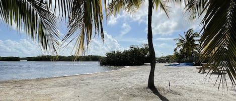 Una playa cerca