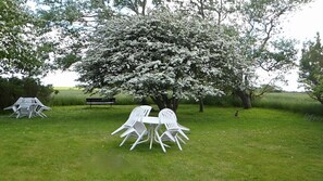 المنطقة المحيطة بالمنشأة