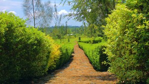 A stone pathway flanked by neatly trimmed hedges leading to a white building in a lush green landscape. - Nguge Hills Lodge & Wellness Retreat (Nyamboyo)