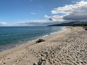 On the beach