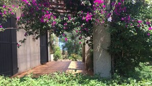 Een smalle steeg met een metselpad, omgeven door weelderige begroeiing en kleurrijke bougainvillea’s.