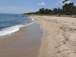 On the beach