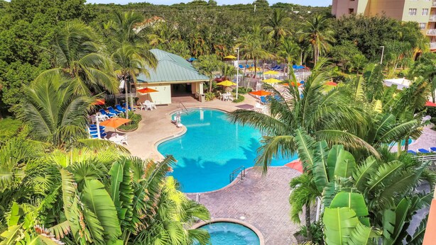 A pool area with lounge chairs and umbrellas, surrounded by tropical vegetation.