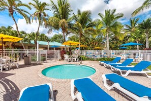 A pool area with lounge chairs, umbrellas, and palm trees. - (Weston)