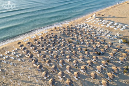 Plage privée, chaises longues, parasols, bar de plage