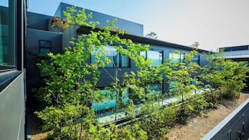 Teras/patio