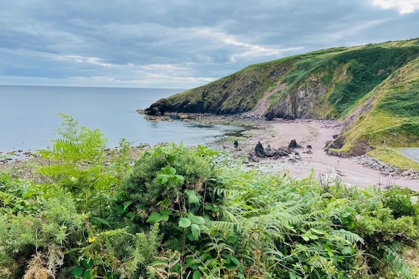 Plage à proximité, serviettes de plage