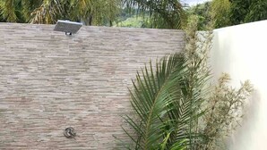 Un espacio exterior moderno con un muro texturizado, un panel solar y abundante vegetación, incluyendo una palmera y una planta con flores.