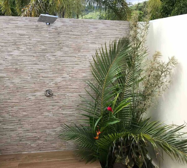 A modern outdoor area with a textured wall, a solar panel, and lush greenery including a palm plant and a flowering plant.