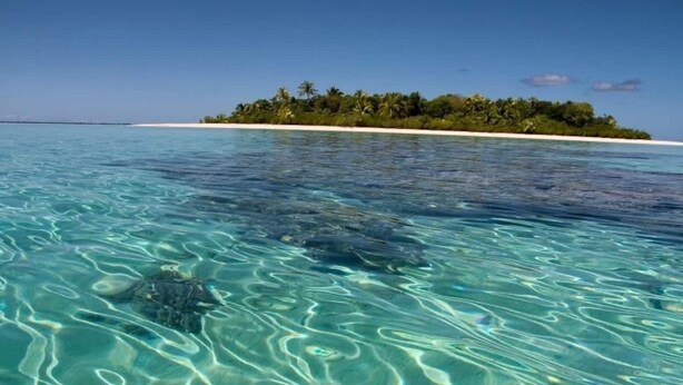 Una vista despejada de una playa con aguas turquesas y una pequeña isla con palmeras al fondo.
