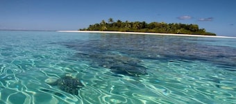 Ocean Front Bungalow