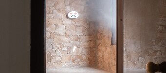 Luxury apartment with spa and Turkish bath