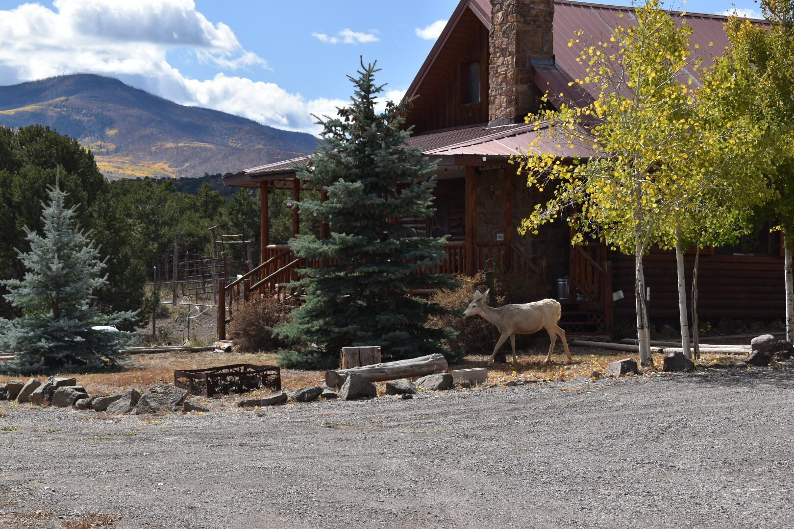 Colorado Mountain Retreat