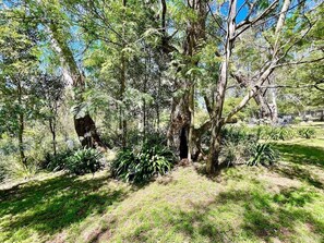 Property grounds - Henderson House | Renovated Home, 3 Bedroom, Deep Bath, A/C, BBQ, Undercover Patio (Wentworth Falls)