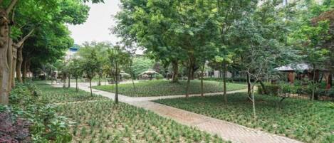 A landscaped garden with pathways, trees, and a building in the background.