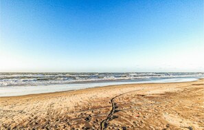 بالقرب من الشاطئ، صيد الأسماك