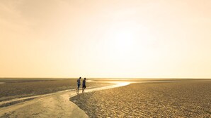 Two people walking on a sandy beach with a vast ocean and a clear sky.