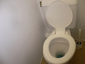 Douche, serviettes fournies, papier toilette