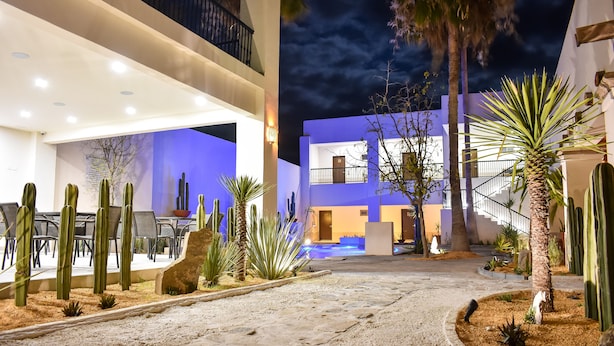 A courtyard with a pool, cacti, and a modern building with blue and white exterior walls.