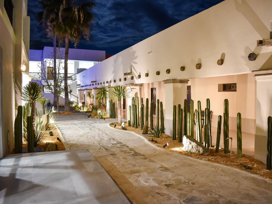 Pasillo de un hotel con temática desértica, que cuenta con un sendero arenoso, cactus y palmeras.