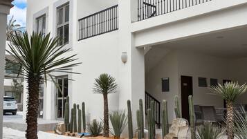 A modern building with a white facade, a stone-paved courtyard, and several cacti.
