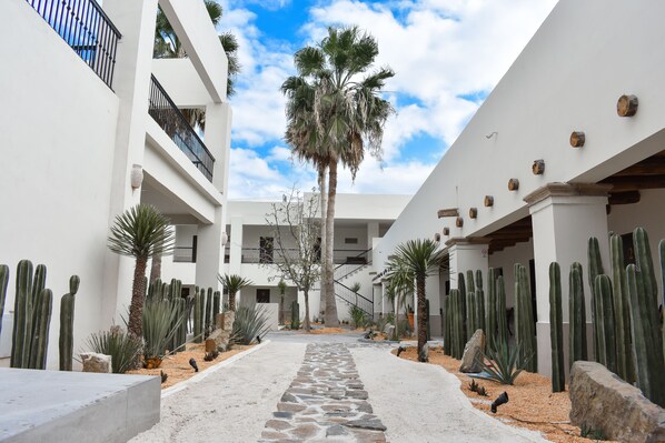A courtyard with a stone pathway, cacti, palm trees, and a building with balconies and windows. - Hotel Plaza Cuatrociénegas (Cuatro Ciénegas)