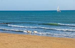 Perto da praia, prática de pesca