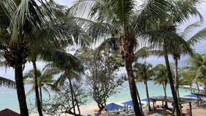 Una playa con filas de sillas de playa y palmeras.