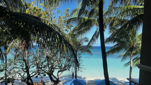 Una playa con sillas de descanso y sombrillas, palmeras y una vista despejada del océano.