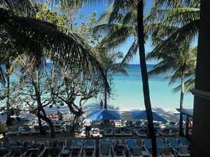 A beach with lounge chairs and umbrellas, palm trees, and a clear view of the ocean.
