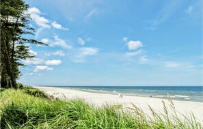 In Strandnähe, Angeln