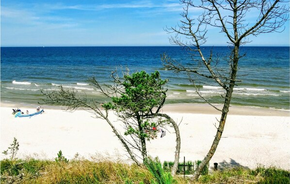 In Strandnähe, Angeln